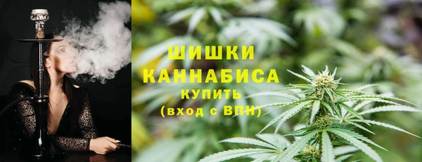 прущие грибы Лихославль