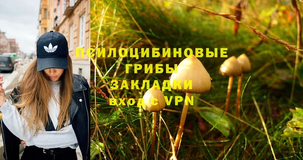спиды Магас