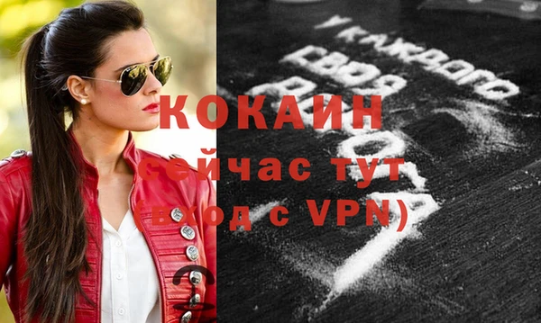 спиды Магас