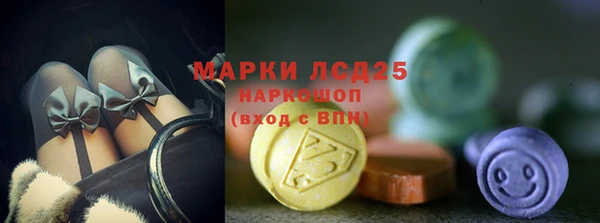 спиды Магас