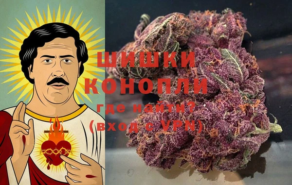 спиды Магас