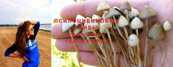 прущие грибы Лихославль
